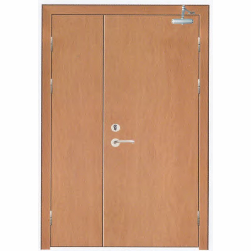 木质烤漆防火门