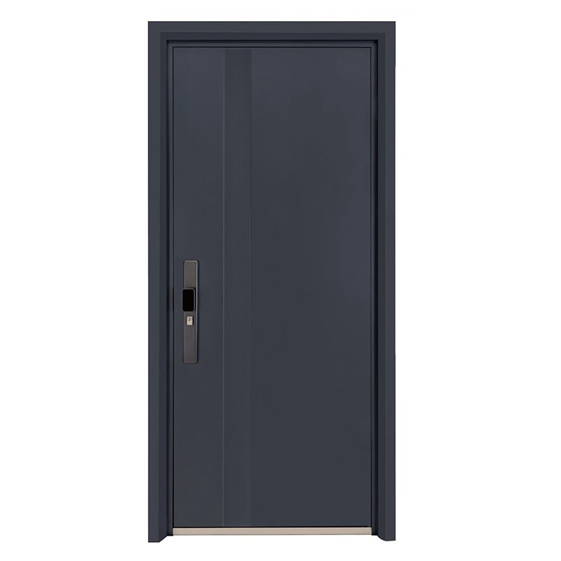 钢质入户门