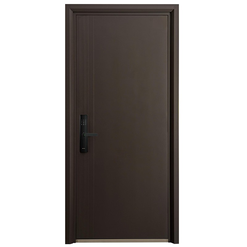 钢质入户门