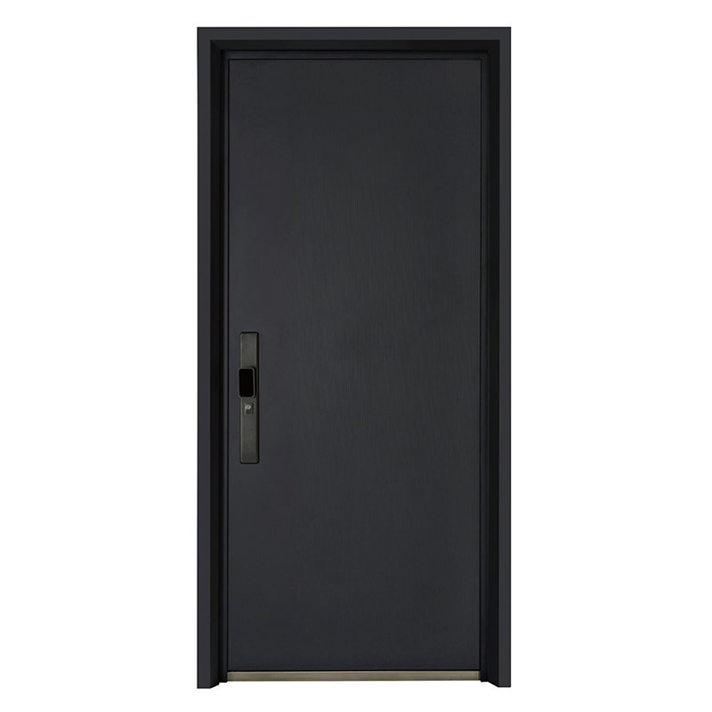 钢质入户门